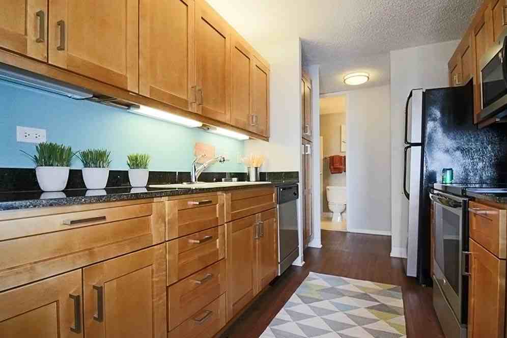 233 E Wacker Dr #2-2 - Photo 5 of 20