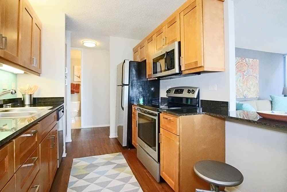 233 E Wacker Dr #2-2 - Photo 6 of 20