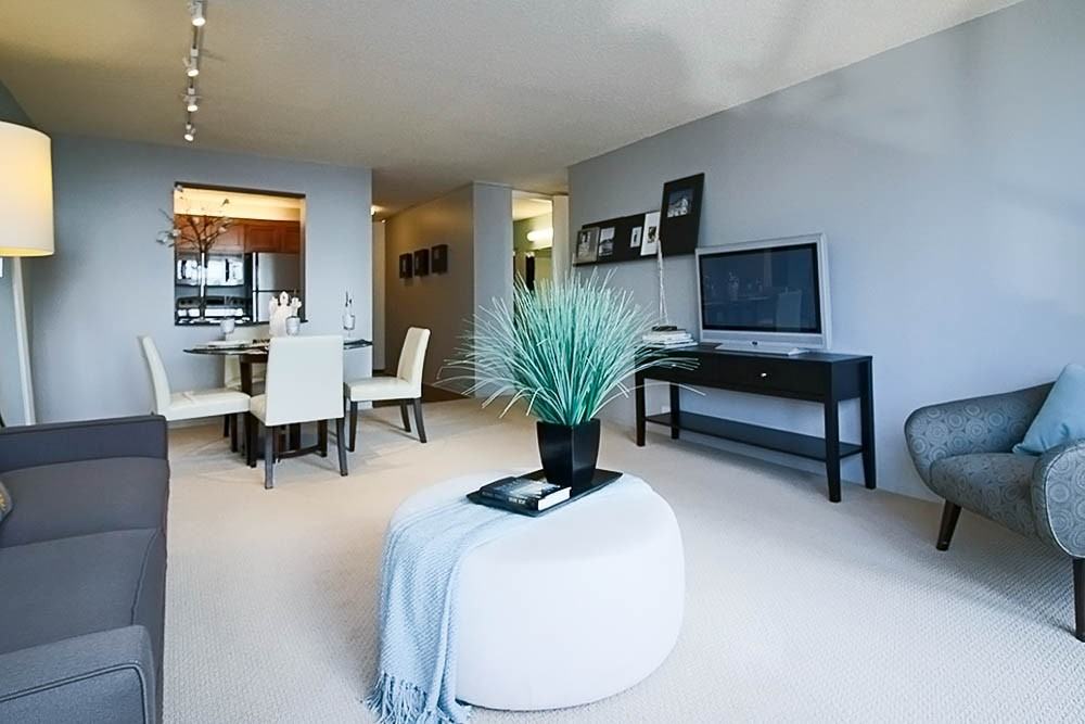 233 E Wacker Dr #1-1 - Photo 2 of 15