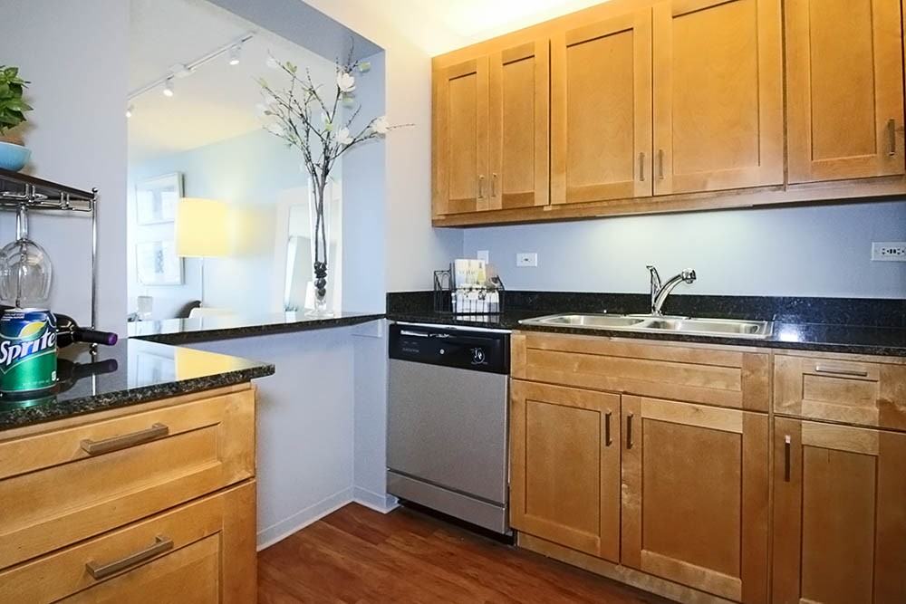 233 E Wacker Dr #1-1 - Photo 4 of 15