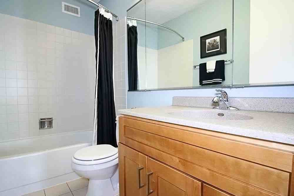 233 E Wacker Dr #1-1 - Photo 6 of 15