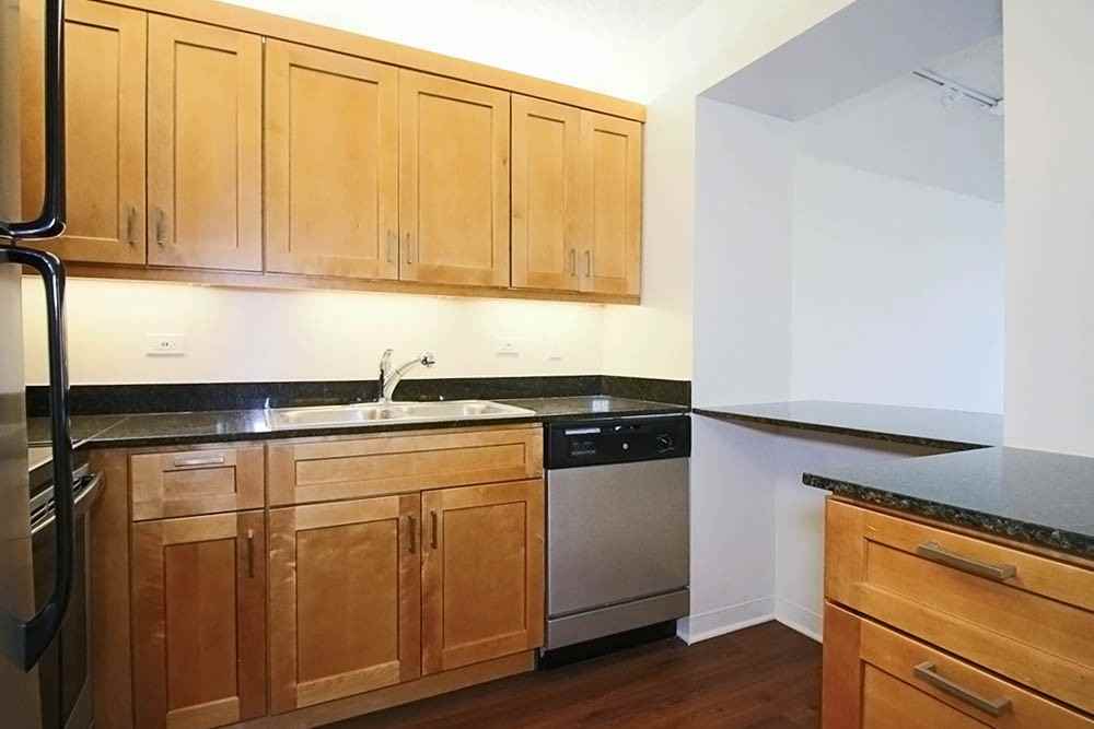 233 E Wacker Dr - Photo 4 of 15