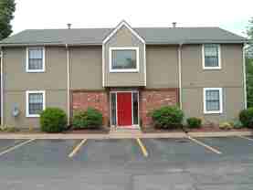 The Woods - Photo 1 of 1