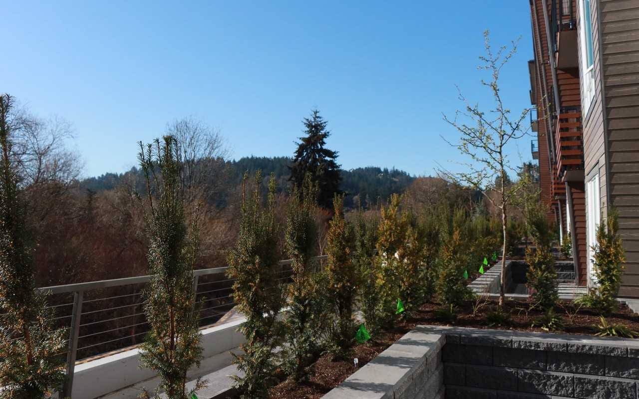 920 Reunion Avenue #123 - Photo 5 of 14