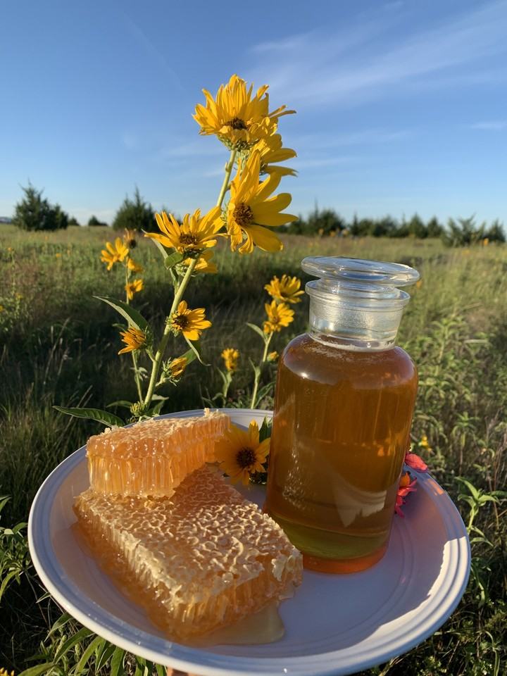 1886 Fm 1569 #NA - Photo 2 of 8