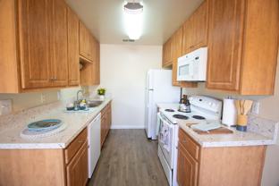 Gold Coast Apartments - Photo 1 of 1