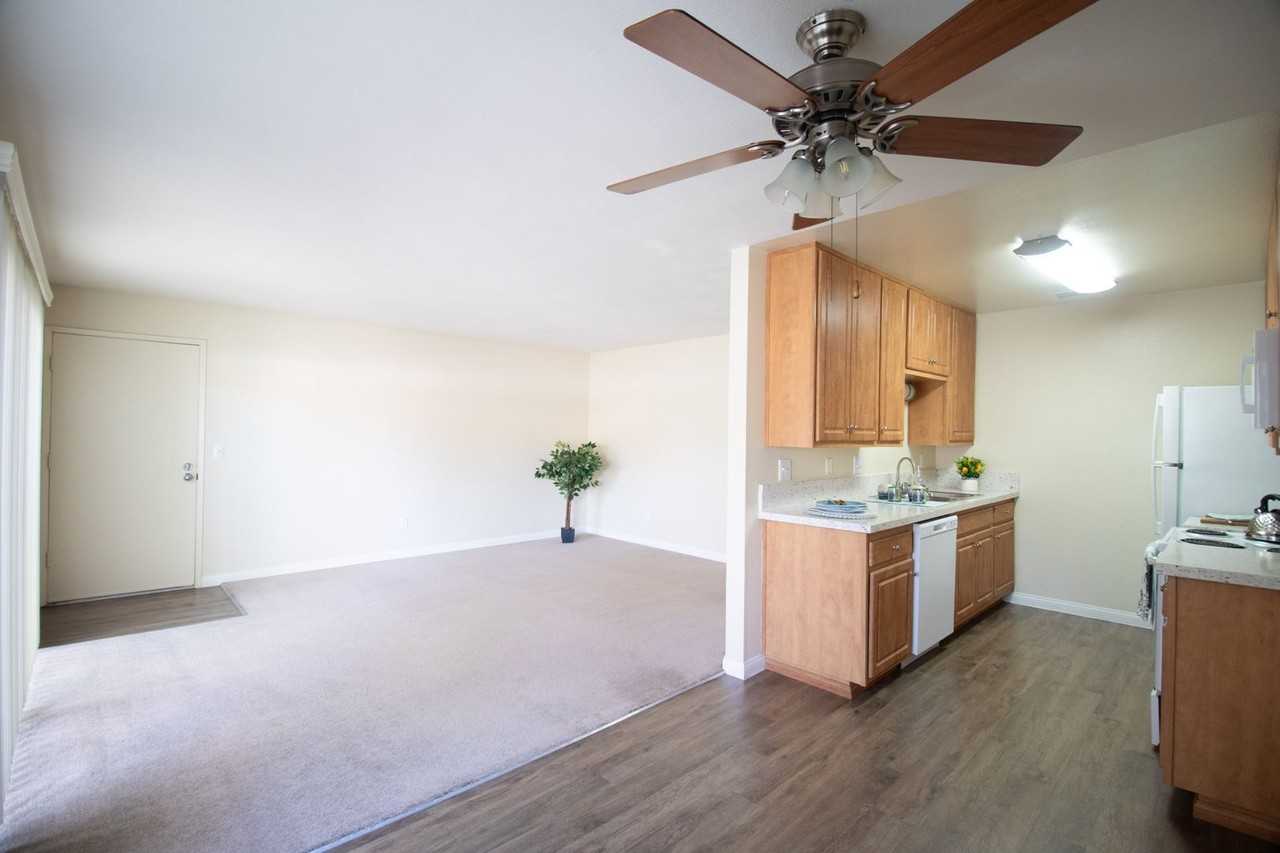 Gold Coast Apartments - Photo 4 of 25