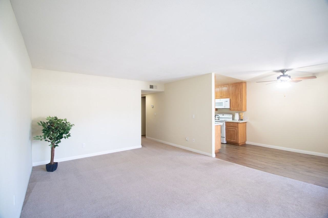 Gold Coast Apartments - Photo 5 of 25