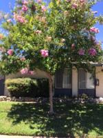 featured image of 2601 Bravado Dr