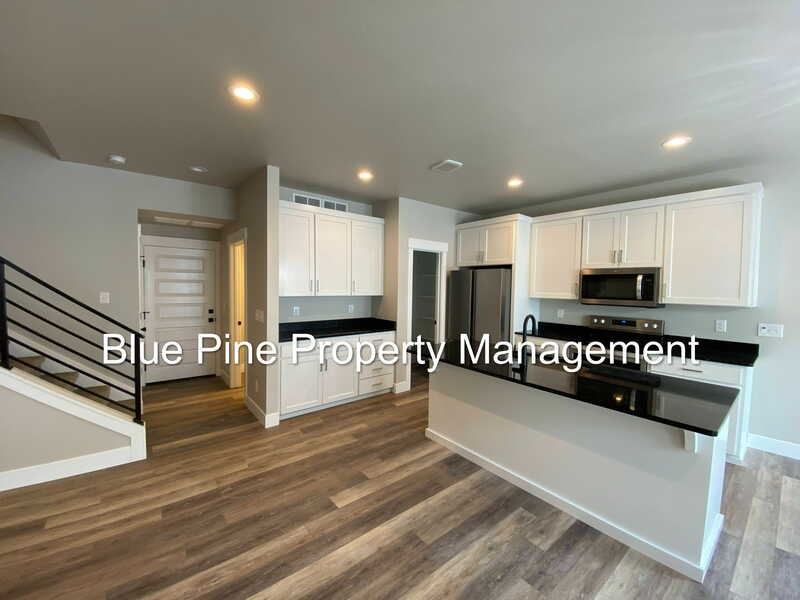 2890 Sunburst Dr - Photo 5 of 21