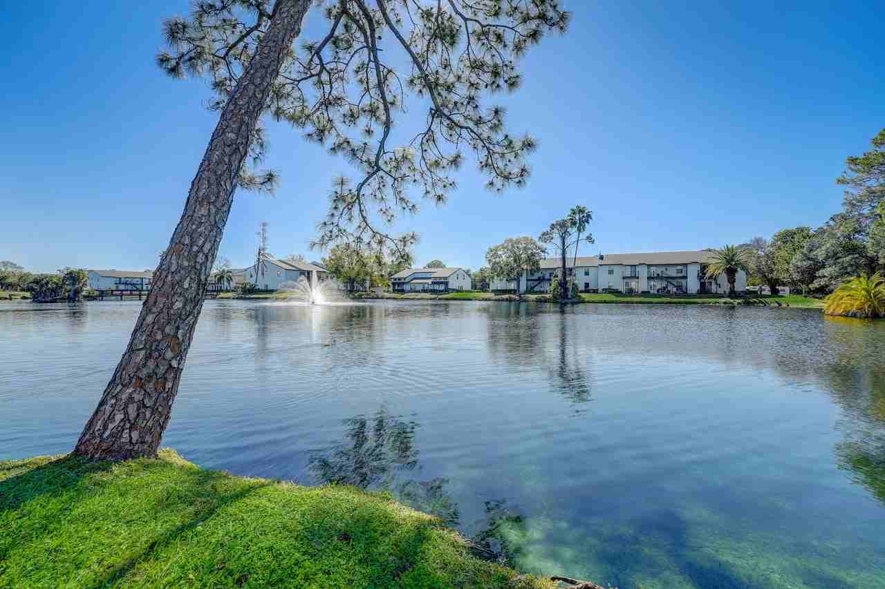 Tamarind Bay Apartments - Photo 6 of 20