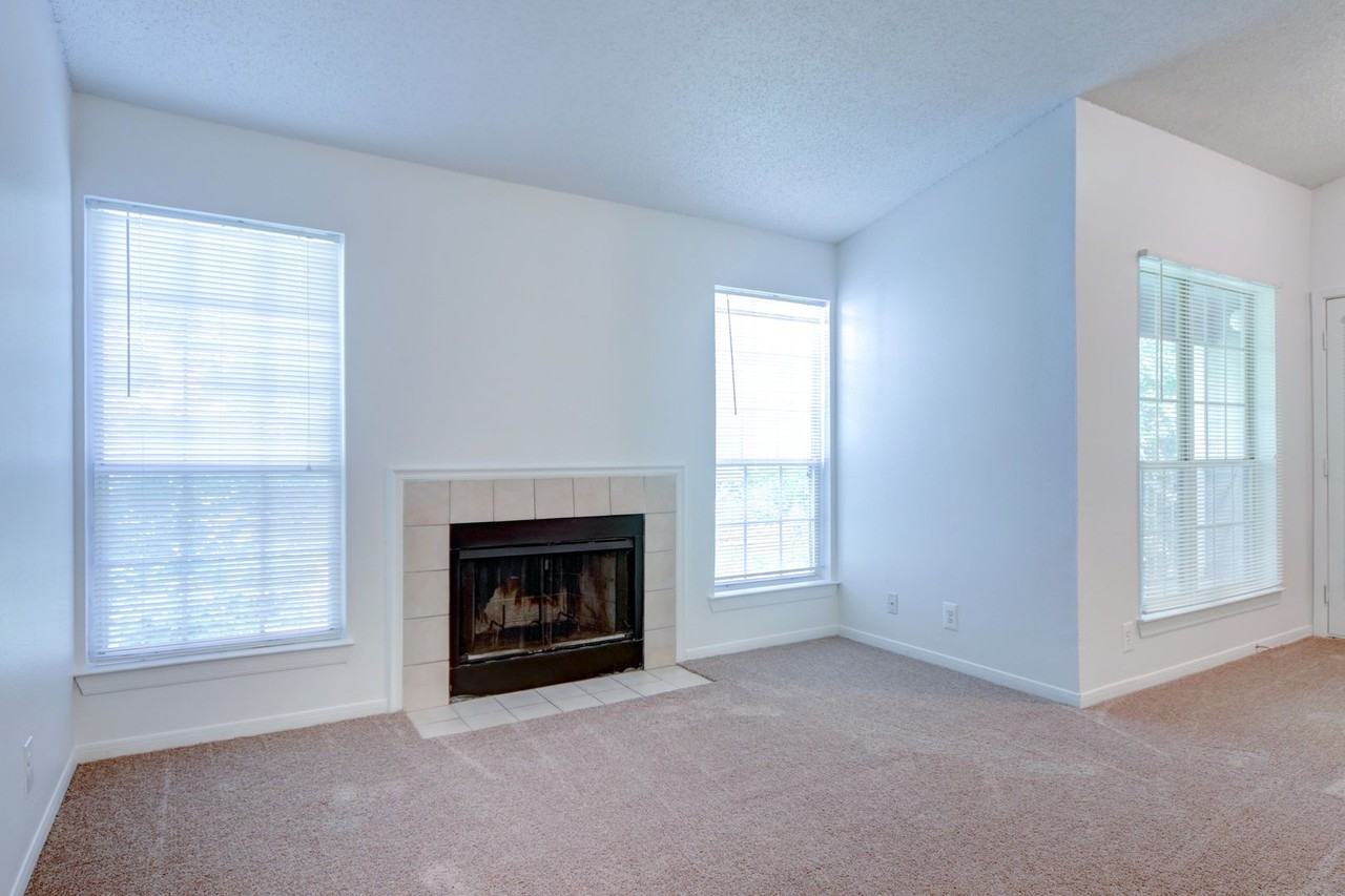 Goose Creek - Photo 2 of 10