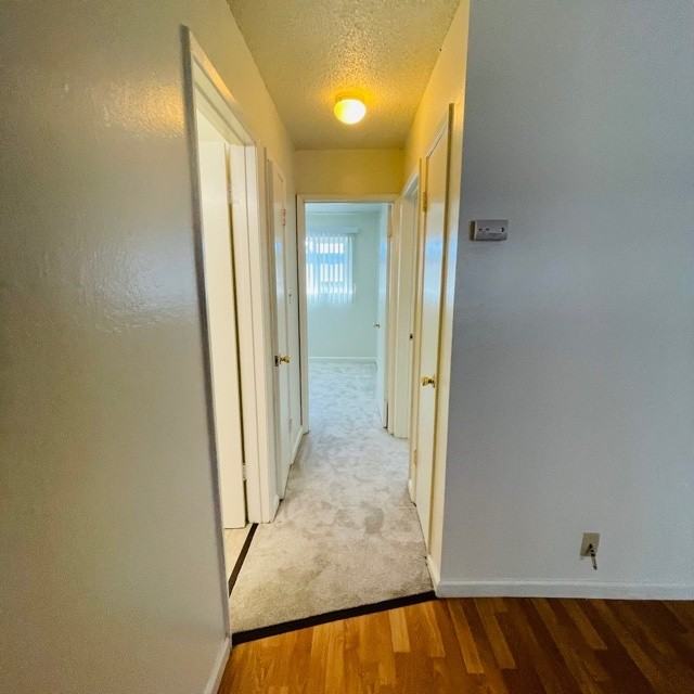 255 MacArthur Boulevard - Photo 3 of 8