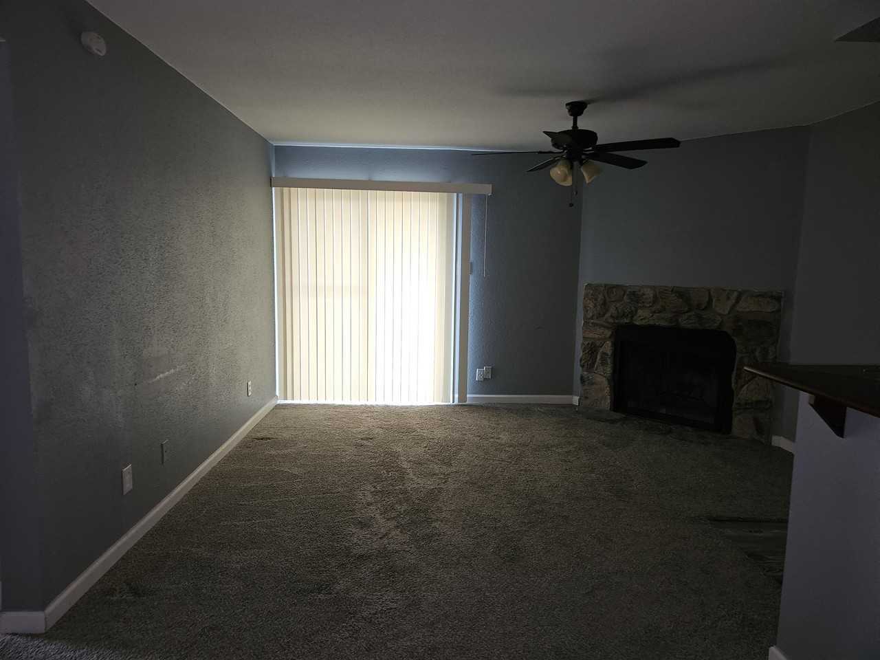 Longstreet Road 214 - Photo 4 of 14