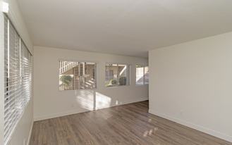 Olive Tree Manor - Photo 1 of 1