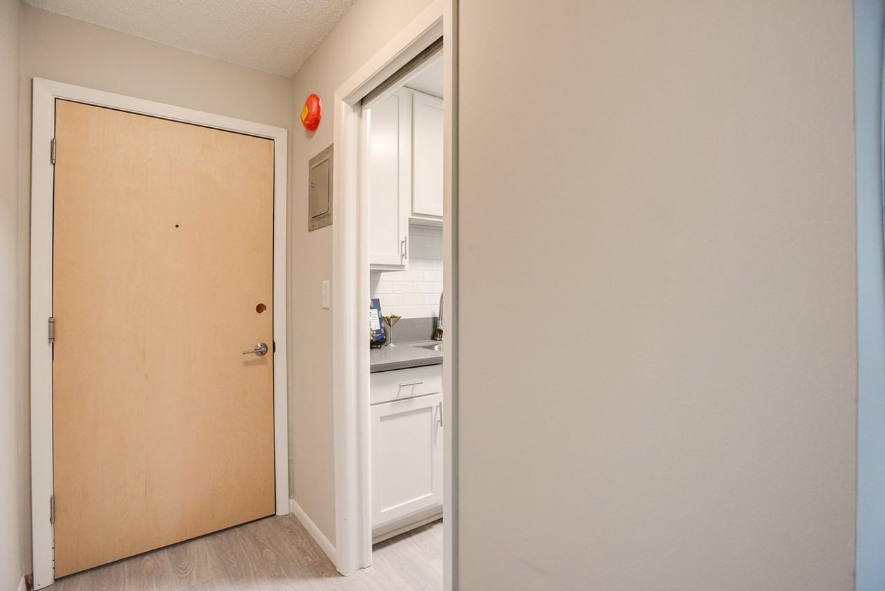 Renovated 1 Bedrooms with Spacious Floor Plan - Photo 4 of 49