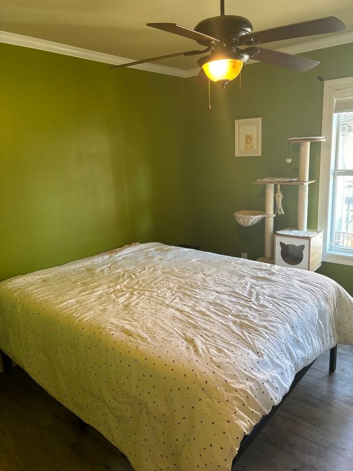 274 Logan Lee Loop - Photo 4 of 38