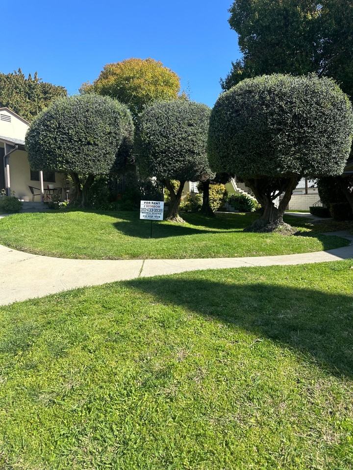 f7124 - Photo 2 of 6