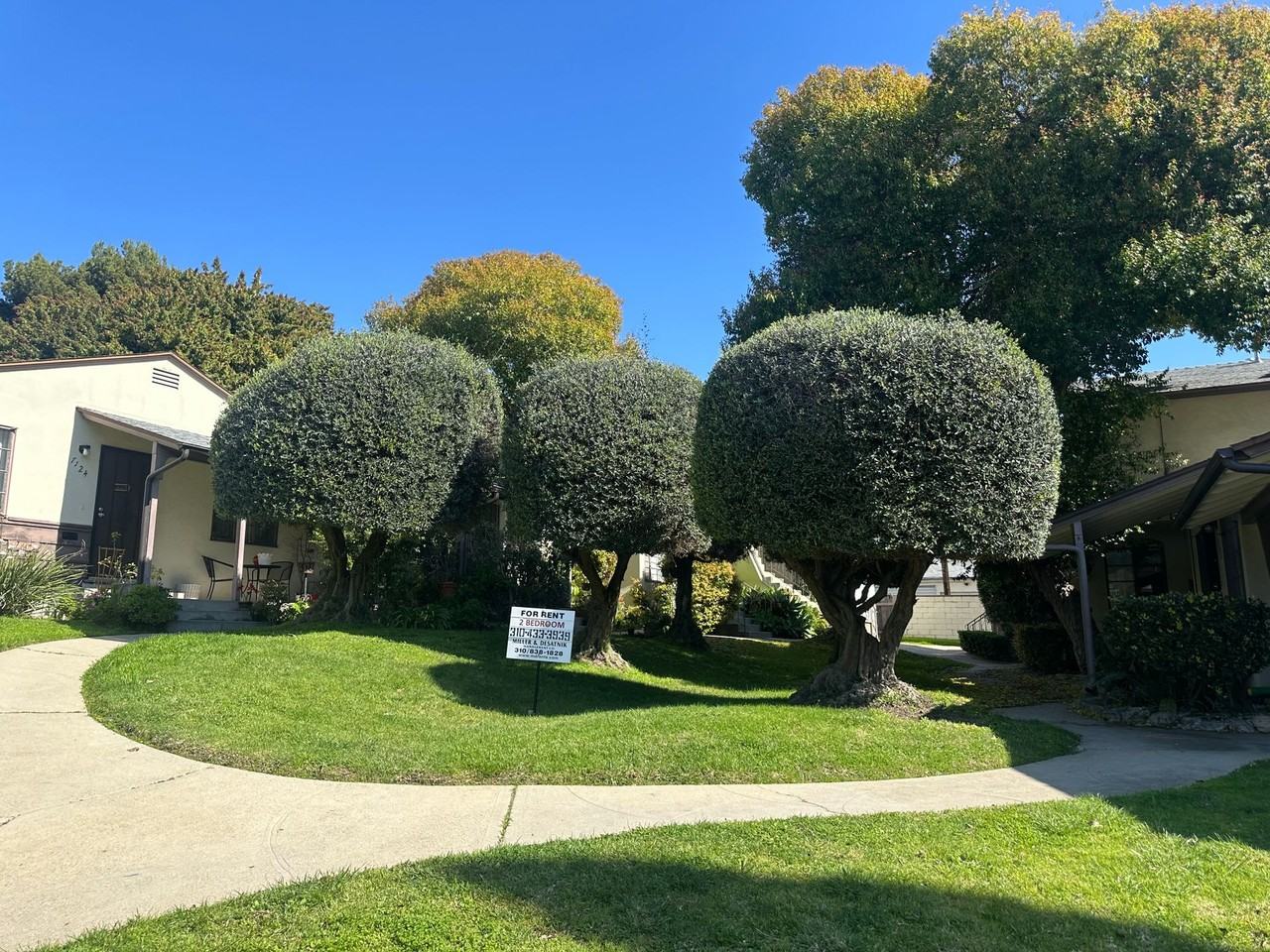 f7124 - Photo 3 of 6