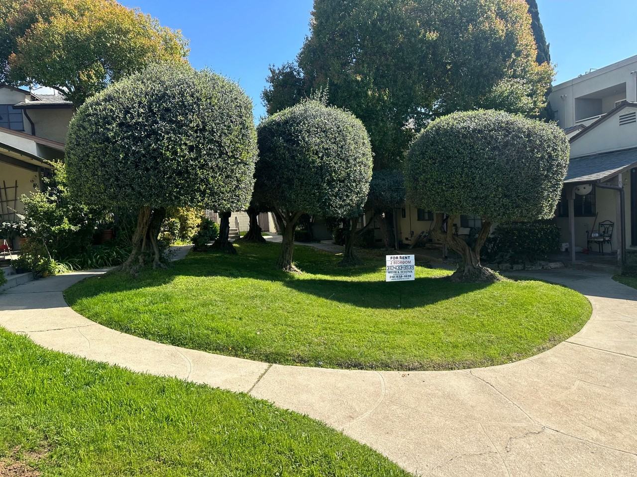 f7124 - Photo 6 of 6