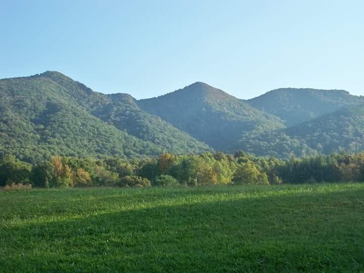 Heavenly Haven - Hardin Gilley Road #NA - Photo 2 of 22