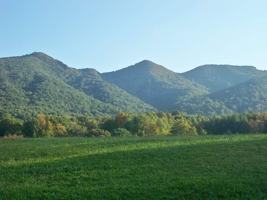 featured image of Heavenly Haven - Hardin Gilley Road #NA