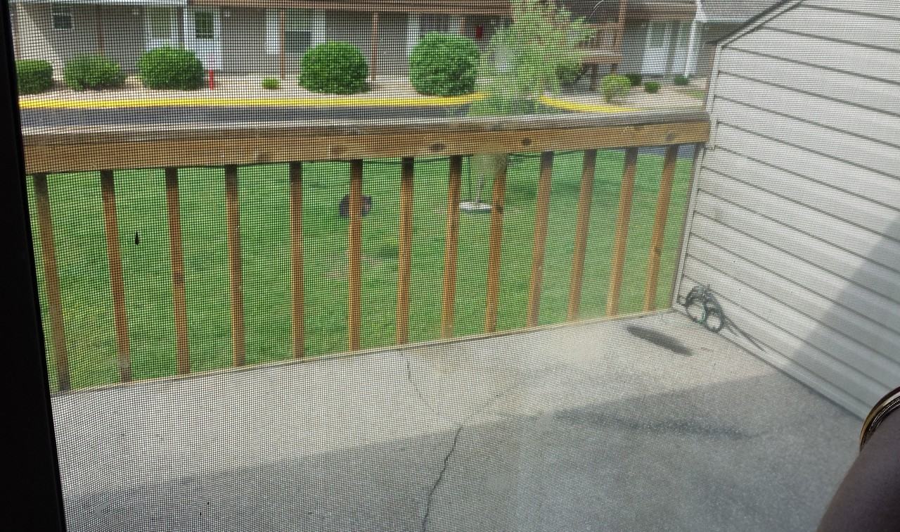 2 Memory Ln #6 - Photo 5 of 8