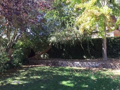 4 Corte Las Casas - Photo 2 of 14