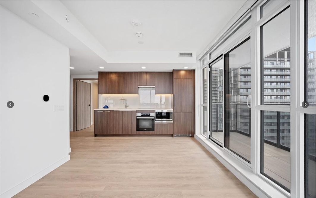 38 Widmer Street #2711