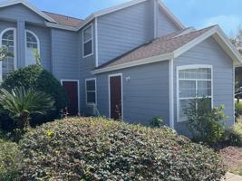 featured image of Orchid Dr