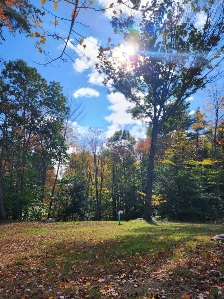 4 Simmons Ct #NA - Photo 3 of 15