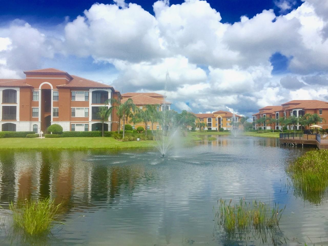 8377 38th Street Cir E #208 - Photo 7 of 50