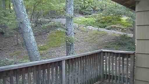 2113 Gore Dr - Photo 3 of 21