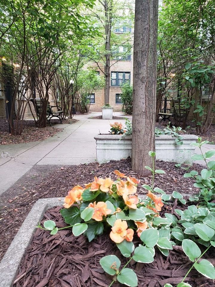 W Wrightwood Ave #1E, Chicago, IL 60614 1 Bedroom House for $1,875 ...