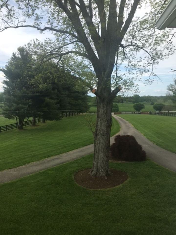 3376 Winchester Rd - Photo 3 of 37