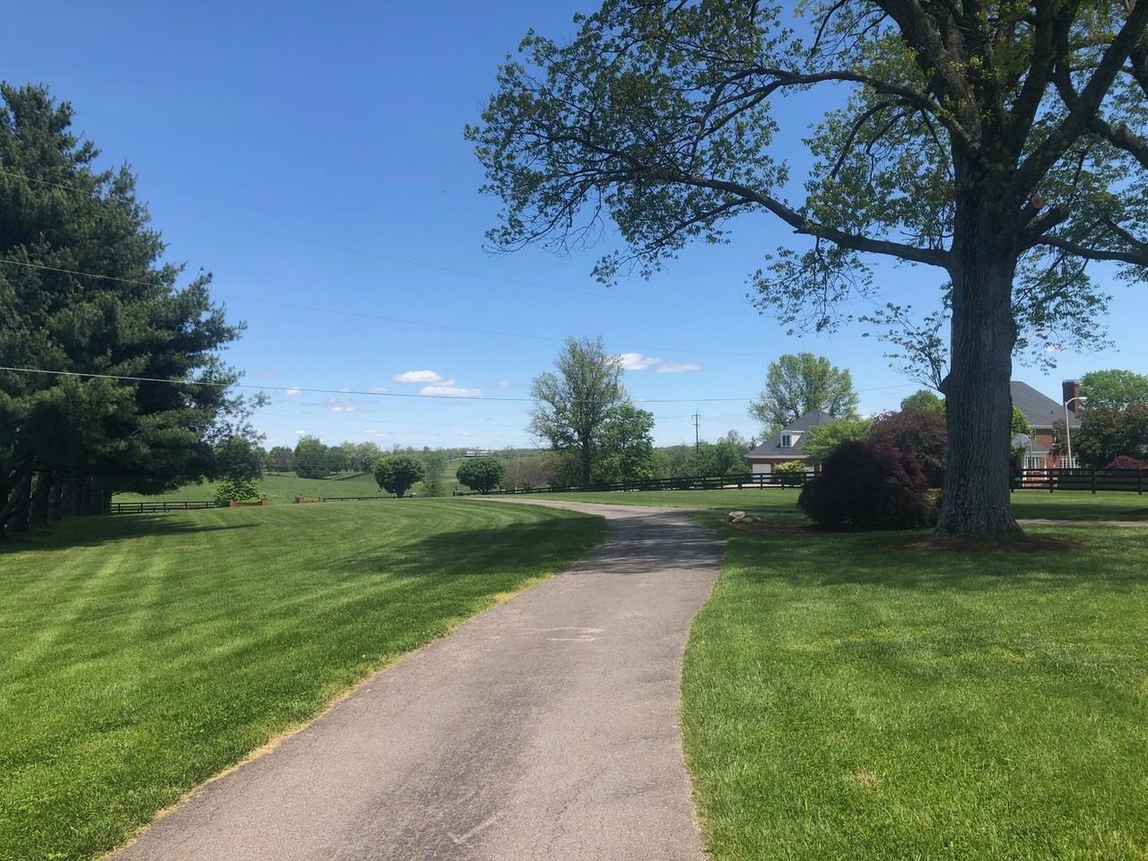 3376 Winchester Rd - Photo 6 of 37