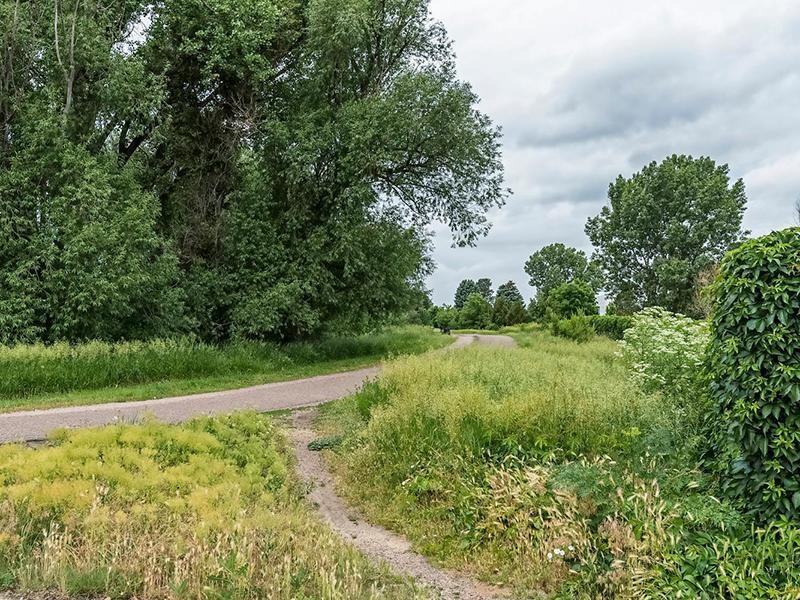 8500 E Mississippi Ave - Photo 5 of 40