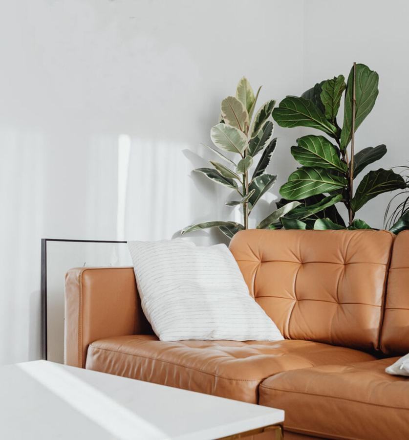 710 Yorkmont Rd - Photo 4 of 28