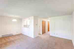 featured image of 345 Pacific Avenue North