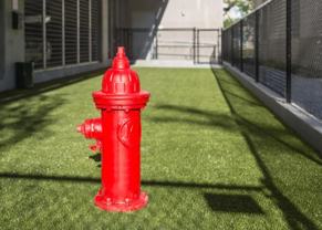 443 Ramsay Way - Photo 1 of 1