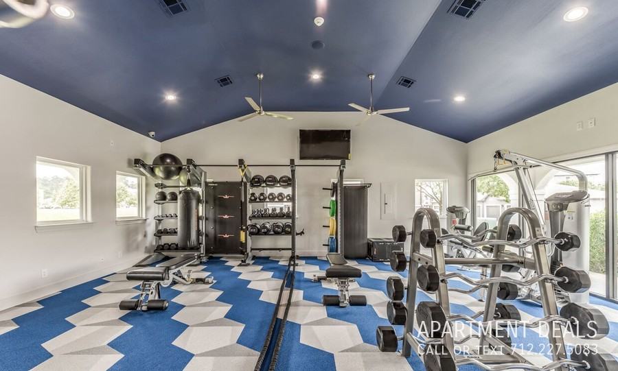 521 Fm 1488 Rd Ste A1 #1258 - Photo 5 of 11