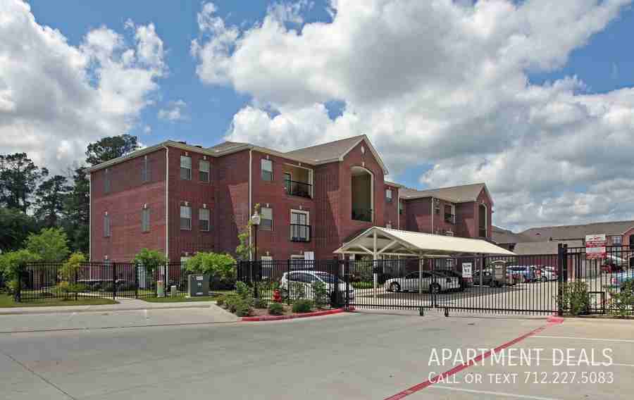 2461 N Frazier St #4447 - Photo 5 of 16