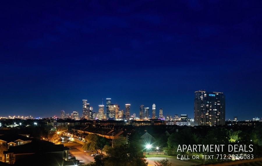 231 S Heights Blvd #219 - Photo 5 of 33