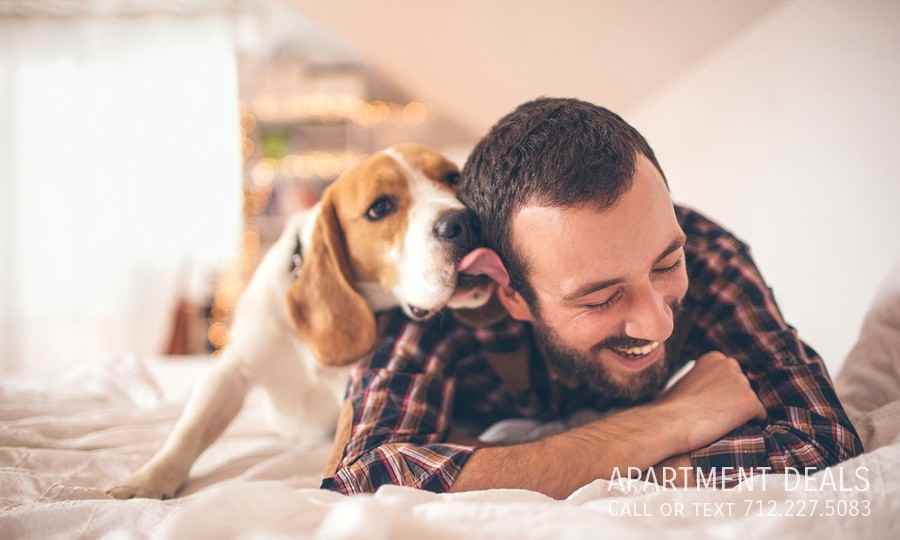 Willancy Ln #1032 - Photo 6 of 35