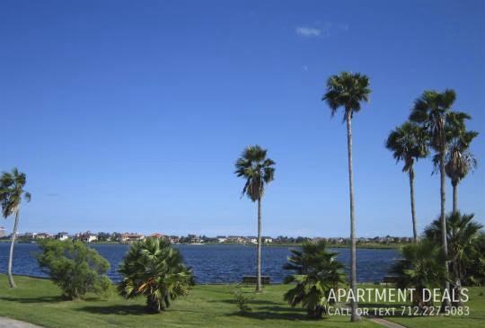 2010 San Sebastian Ct #2139 - Photo 4 of 45