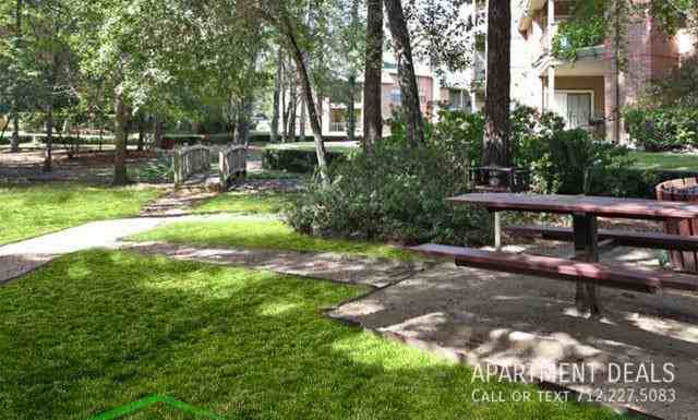 9723 Cypresswood Dr #2236 - Photo 2 of 50