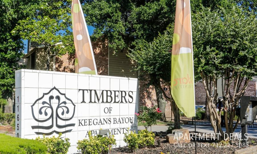 11656 W Bellfort Ave #2435 - Photo 5 of 18