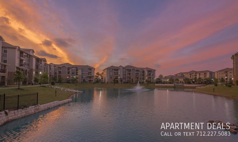 7321 Spring Cypress Rd #1230 - Photo 3 of 50