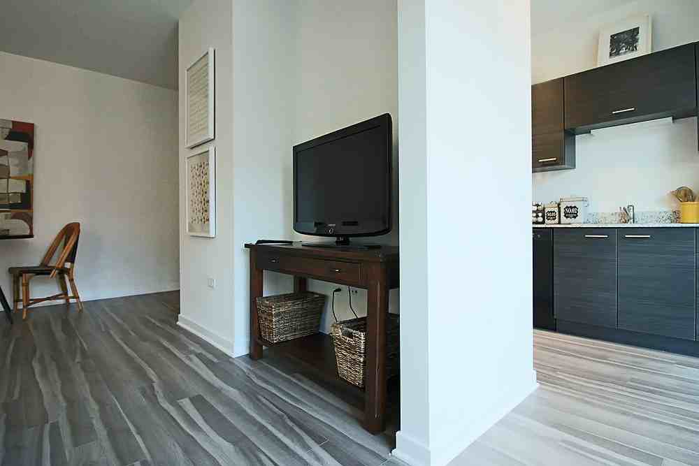 805 N La Salle Dr - Photo 3 of 17