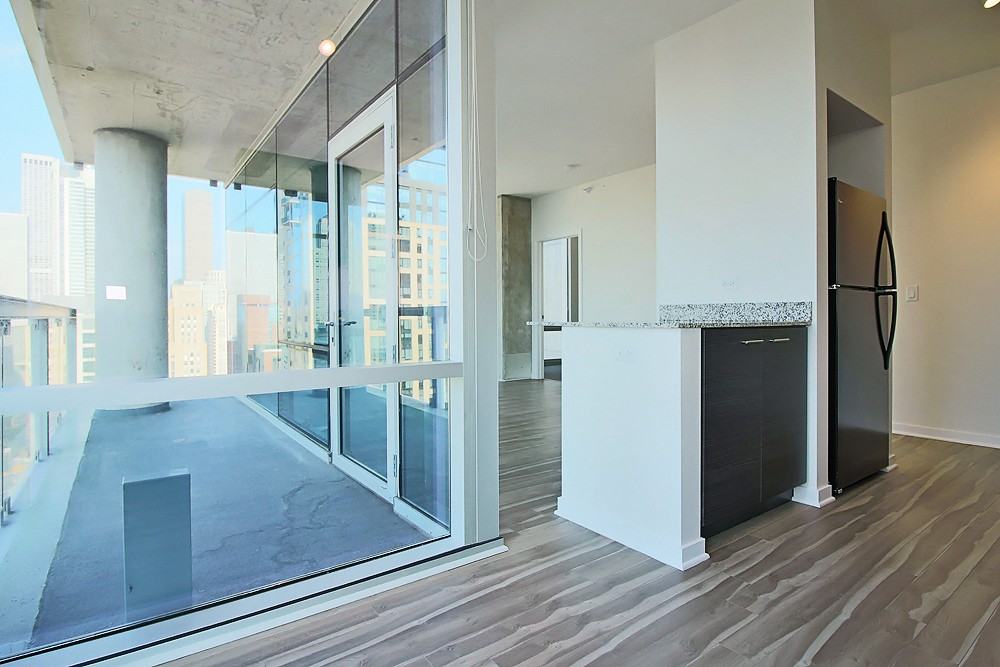 805 N La Salle Dr #1-1 - Photo 3 of 18